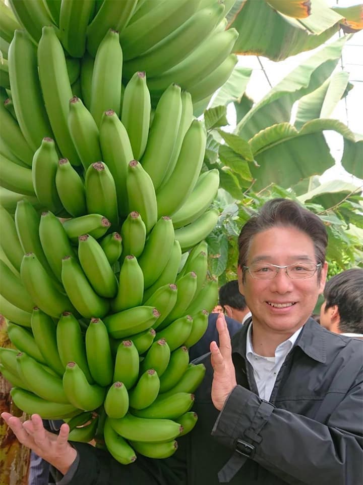 バナナのふさと男性